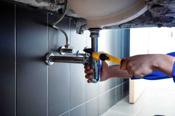 Best Plumbing System Maintenance  in USA